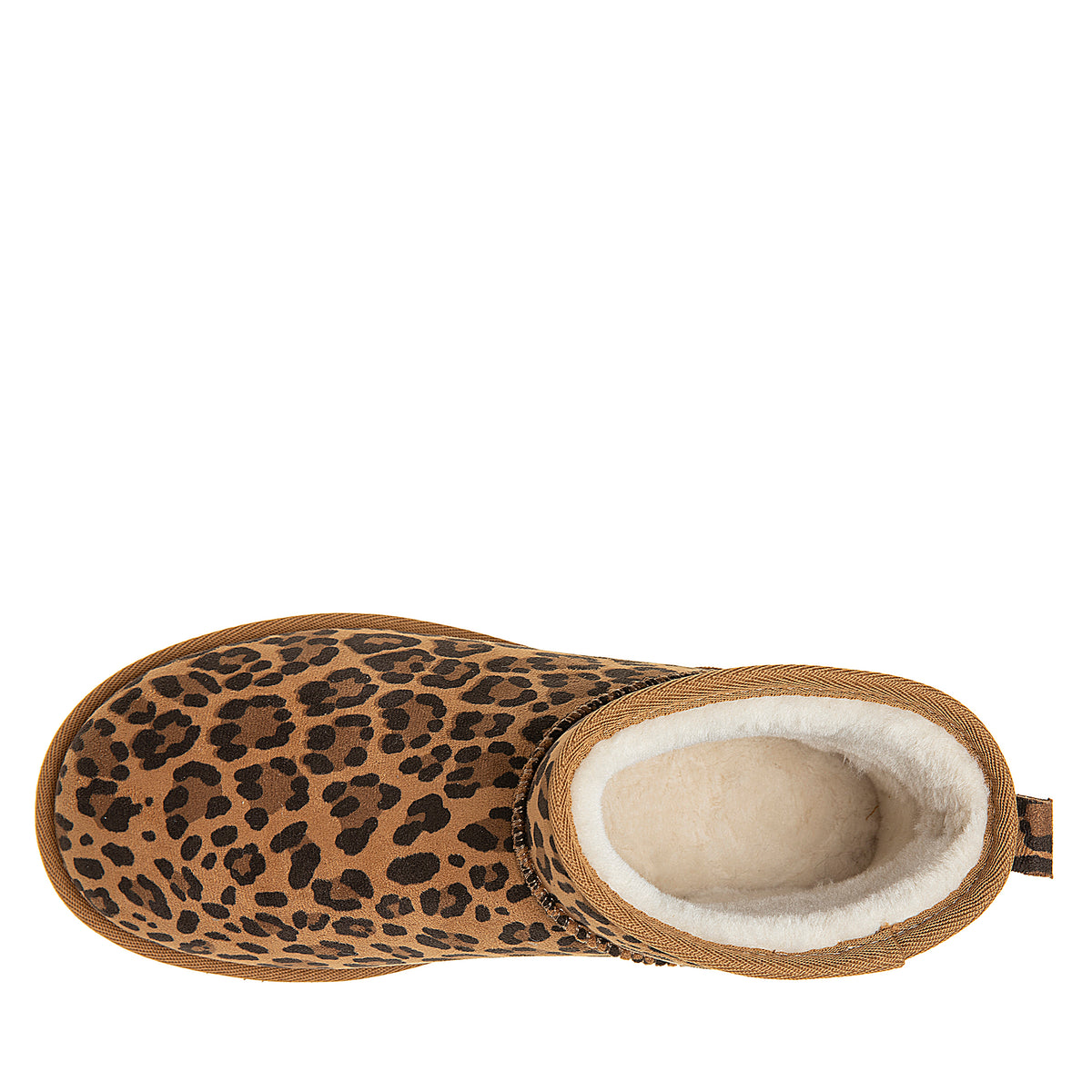 SHINE LEOPARD