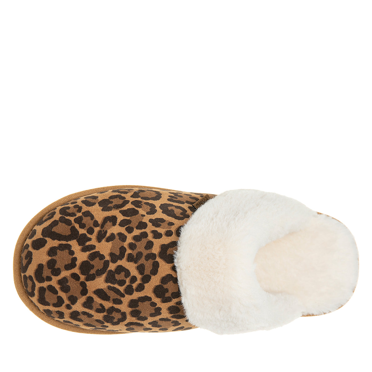 RUE LEOPARD