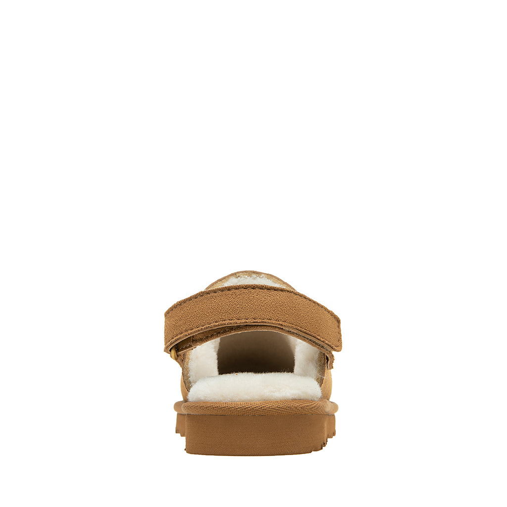 HALO YOUTH COGNAC